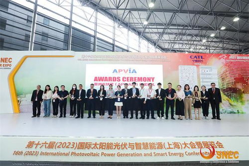 雙良2023SNEC光伏展圓滿落幕，連獲三項大獎?wù)蔑@科技實力